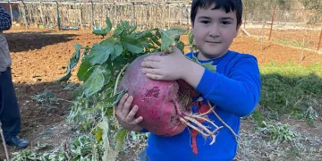 6 kilo 700 gram dev turp görenleri şaşırtıyor