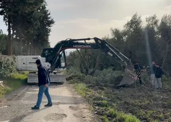 İznik’te devlet arazisine yapılan bağ ve bahçeler kaldırıldı