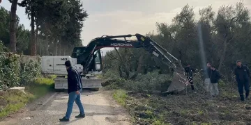 İznik’te devlet arazisine yapılan bağ ve bahçeler kaldırıldı