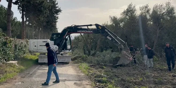 İznik’te devlet arazisine yapılan bağ ve bahçeler kaldırıldı