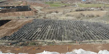 Siirt’te yetiştirilen fidanlar bölgenin fıstık ihtiyacını karşılıyor