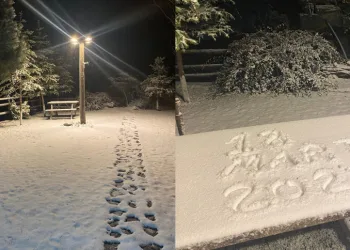 Bursa’da kasktan ceza yedi, ekiplere zor anlar yaşattı