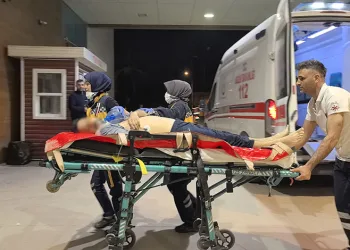 Nilüfer Tohum Takas Şenliği’nde yerel tohumlar paylaşıldı