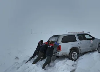 Kars’ta zorlu kış şartlarda ekipler hayvanları aşılıyor