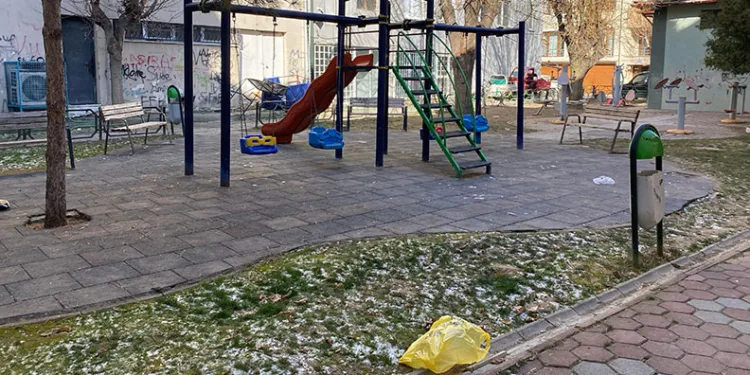 Adana’da Çam Kese Böcekleriyle Mücadele Başlatıldı