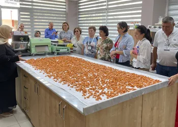 Gürtam projesi üreticinin nabzını tutuyor