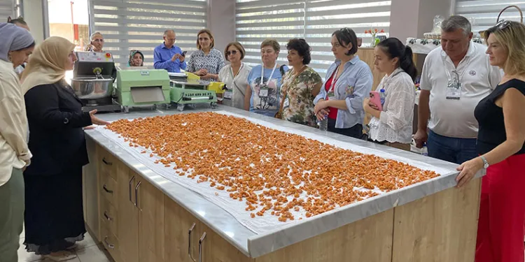Gürtam projesi üreticinin nabzını tutuyor