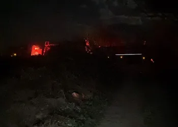 Bursa’da ormanlık alanda yangın