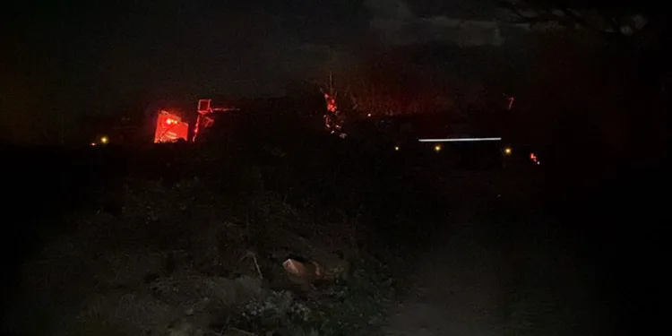 Bursa’da ormanlık alanda yangın