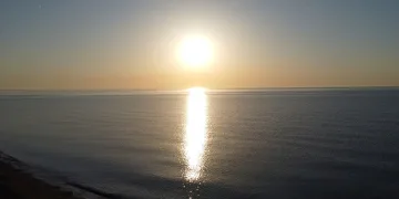 Su Samuru Çoruh’ta avlanırken görüntülendi