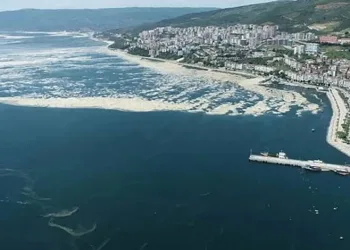 Bursa’da yangın bölgesinde güvenlik önlemi alan polise saldırı