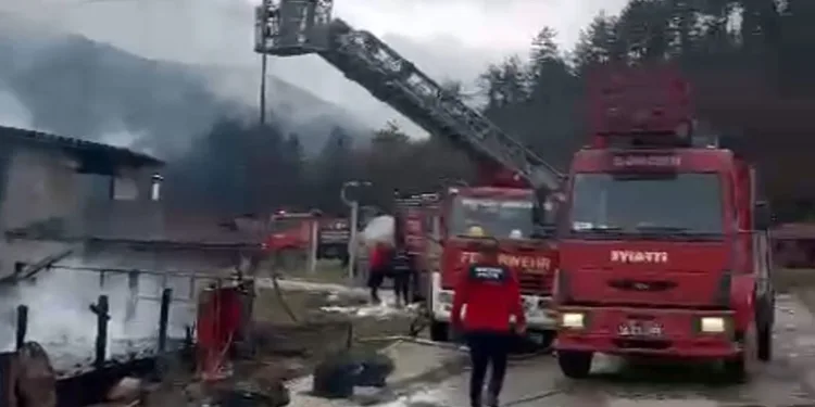 Bodrum’da uyuşturucu ve silah operasyonu: 2 tutuklama