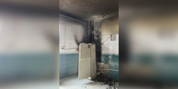Diyarbakır’da ağaca çarpan otomobilin sürücüsü yaralandı