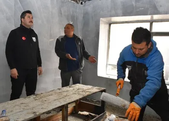 Erdek’te barınak çilesi