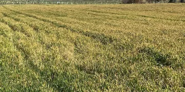 Elazığ’da yola düşen kaya parçaları kaldırıldı