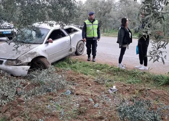 Gemlik’te Patili Canlar Yeni Yuvalarına Kavuşuyor