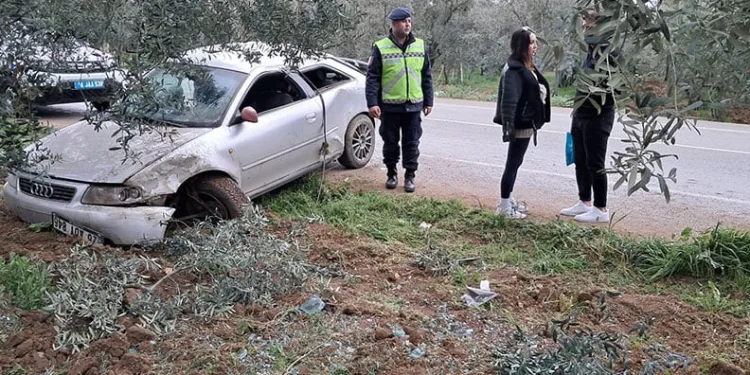 Gemlik’te Patili Canlar Yeni Yuvalarına Kavuşuyor