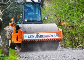 Gemlik’te Patili Canlar Yeni Yuvalarına Kavuşuyor