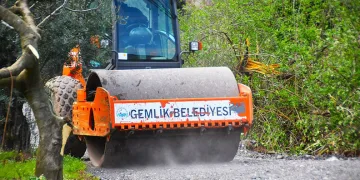 Gemlik’te Patili Canlar Yeni Yuvalarına Kavuşuyor