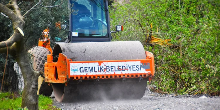 Gemlik’te Patili Canlar Yeni Yuvalarına Kavuşuyor