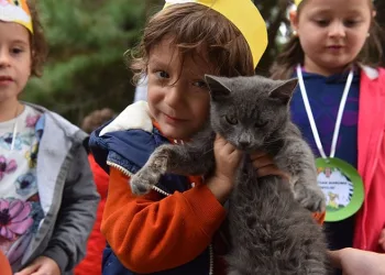 Yıldırım’da 625 patili dost sıcak yuvaya kavuştu