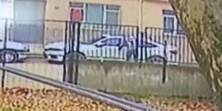 Otomobil hırsızları önce kameraya sonra polise yakalandı