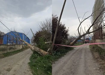 İznik sise teslim
