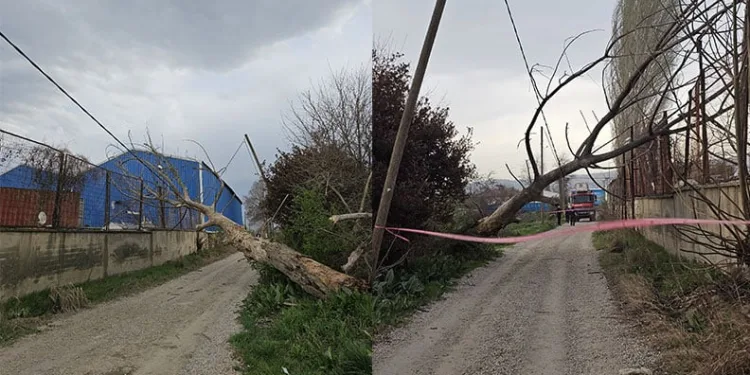 İznik sise teslim