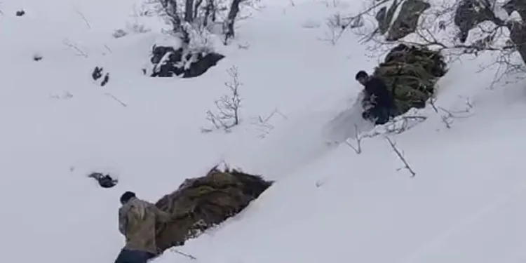 Hakkari’de besicilerin zorlu kış mesaisi