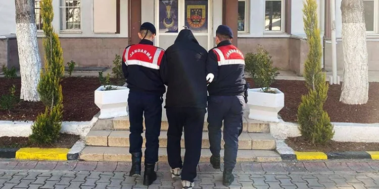 Yoldan çıkıp devrilen tır alev alev yandı