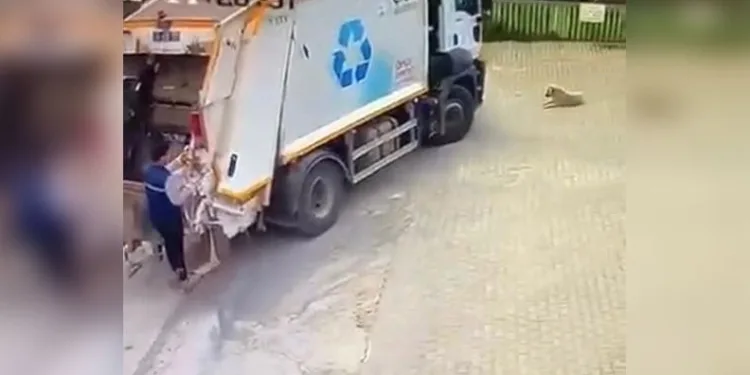 Çiğli Belediyesi çöp kamyonu köpeği ezdi, durmadan yoluna devam etti