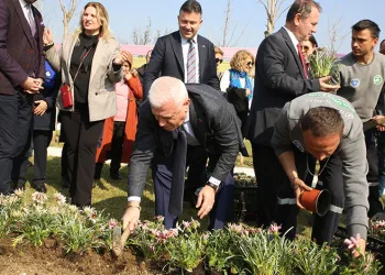 Kadınlar Günü’nde çiçekler toprakla buluştu