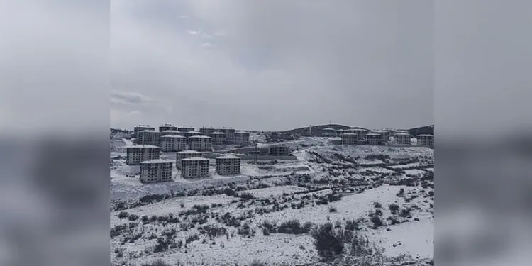 “Başıboş Hayvanlar İçin Yeni Düzenlemeler Tamamlandı”