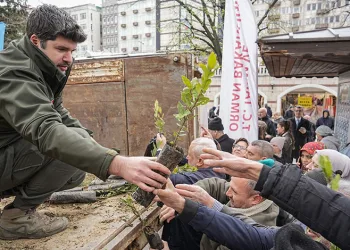 Ücretsiz fidana büyük ilgi