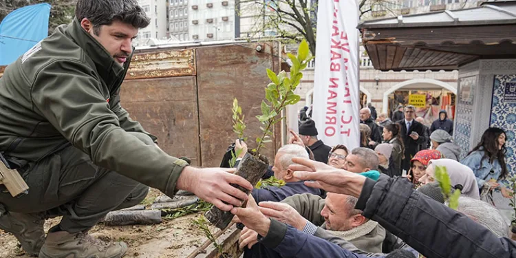 Ücretsiz fidana büyük ilgi