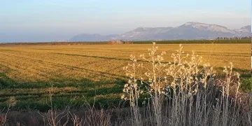 Emniyet ekipleri öğrencileri bilgilendirdi