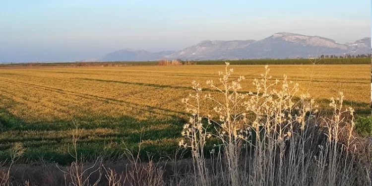 Emniyet ekipleri öğrencileri bilgilendirdi