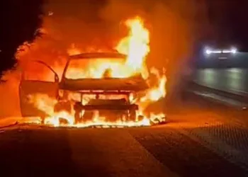 Araçta çıkan yangın ormana sıçradı