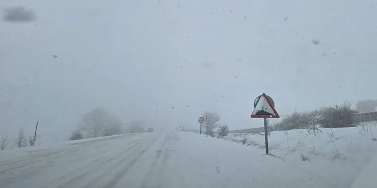 Trabzon’da 124 mahalle yolu kar nedeniyle ulaşıma kapandı