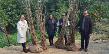 Elazığ’da yola düşen kaya parçaları kaldırıldı