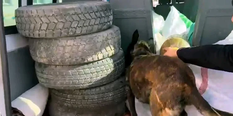 10 kilo uyuşturucu yakalattı, “Şeker sanıyordum” savunması yaptı