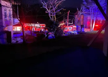 Nilüfer Tohum Takas Şenliği’nde yerel tohumlar paylaşıldı