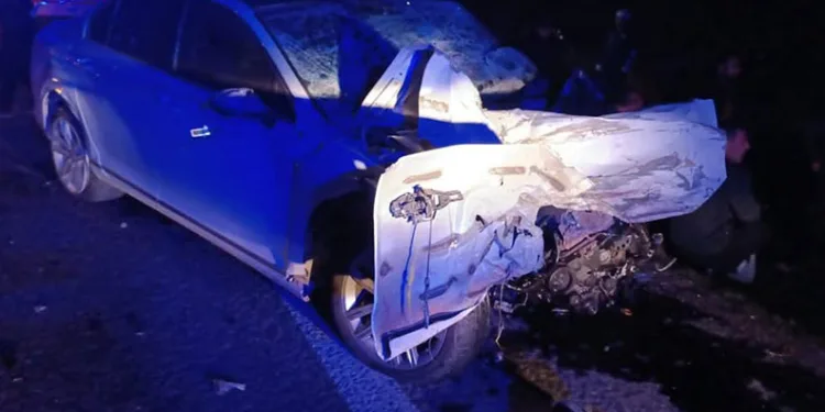 Adana’da polis kenti adeta ablukaya aldı, 106 suçlu yakalandı