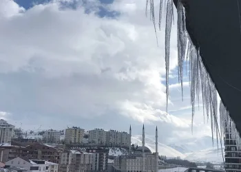 Prof. Dr. Şevket Özkaya: Ani Genç Ölümünün Sebebi Kovid-19’un Damar Hasarı