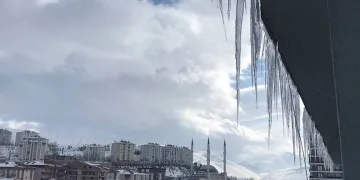 Prof. Dr. Şevket Özkaya: Ani Genç Ölümünün Sebebi Kovid-19’un Damar Hasarı