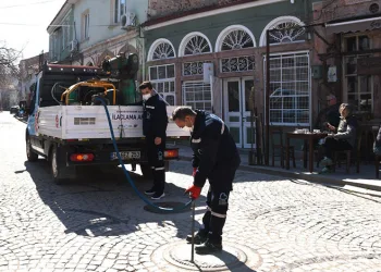 Adana’da Çam Kese Böcekleriyle Mücadele Başlatıldı
