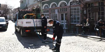 Adana’da Çam Kese Böcekleriyle Mücadele Başlatıldı