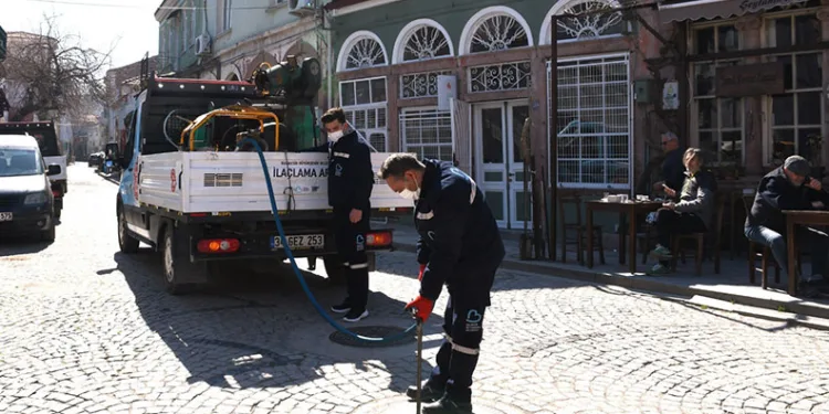 Adana’da Çam Kese Böcekleriyle Mücadele Başlatıldı