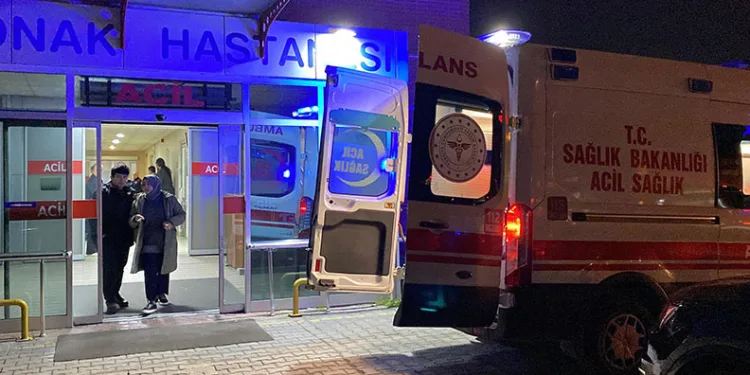 Yoldan çıkıp devrilen tır alev alev yandı