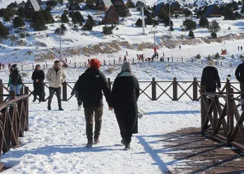 Prof. Dr. Şevket Özkaya: Ani Genç Ölümünün Sebebi Kovid-19’un Damar Hasarı